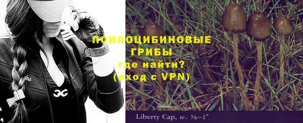 Альфа ПВП Покачи