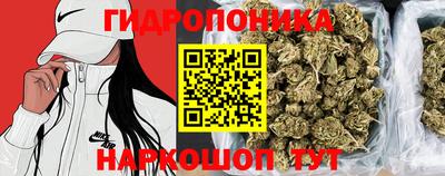 spice Кунгур