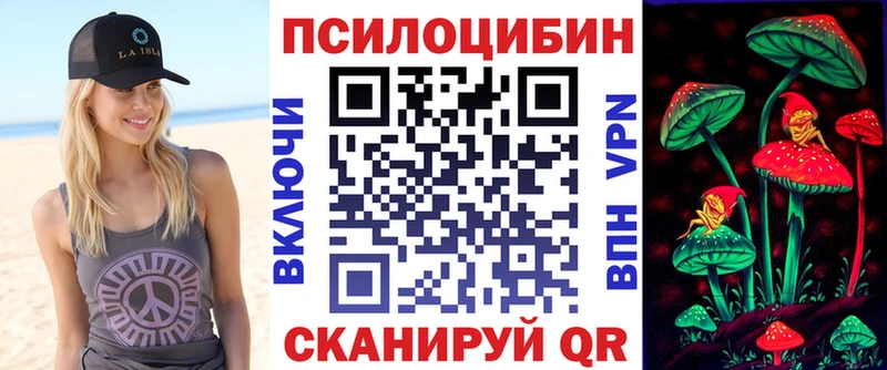 Псилоцибиновые грибы Cubensis  Калининград 