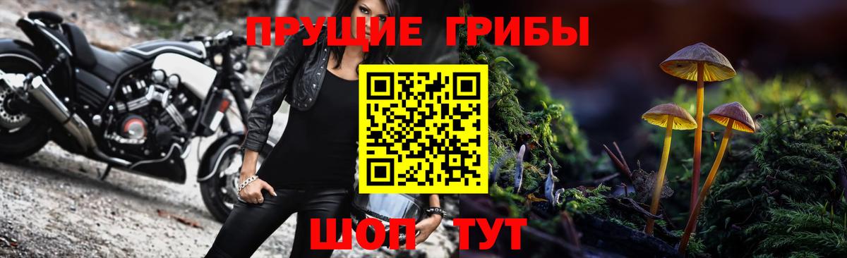 Галлюциногенные грибы MAGIC MUSHROOMS Калининград